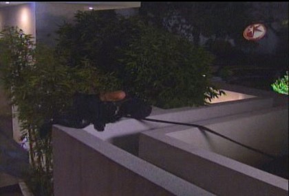 BelindaPhotosCom_Caps_Capitulo_5_(108) - Cameleonii