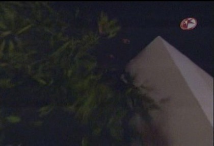 BelindaPhotosCom_Caps_Capitulo_5_(193) - Cameleonii