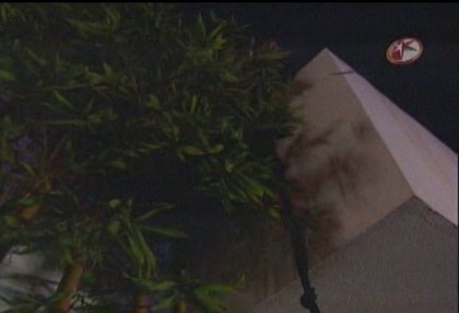 BelindaPhotosCom_Caps_Capitulo_5_(199) - Cameleonii