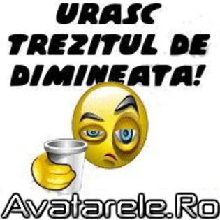 www_avatarele_ro__1239307264_781844 - avatare