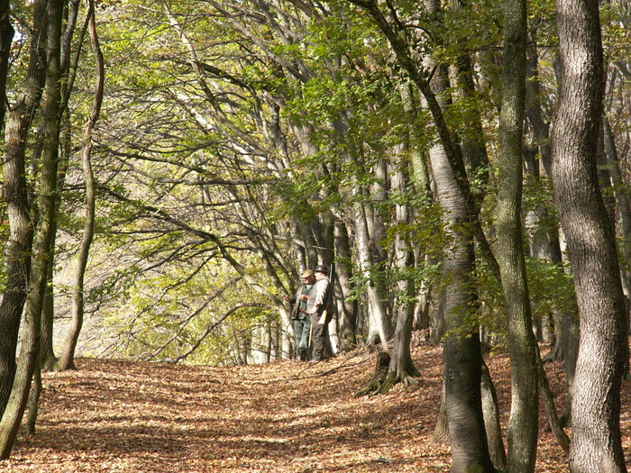 PICT0037