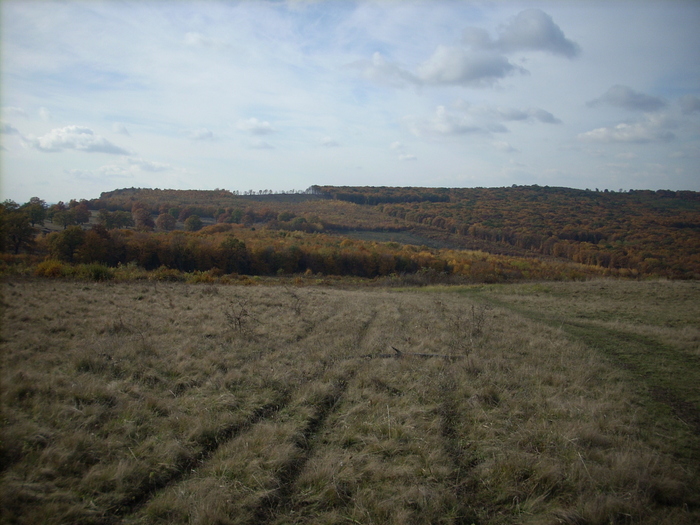 DSCN0991