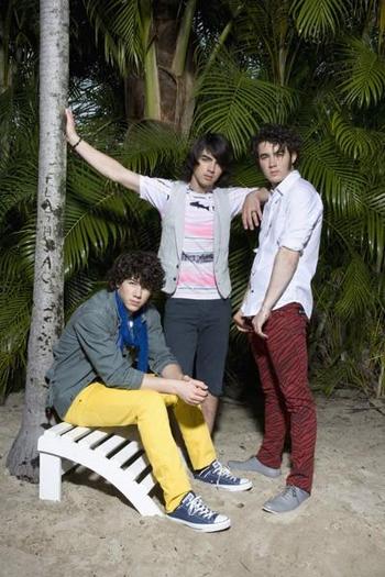 l_4eb791434f524fa695b51addf561a653 - aici va arat cat de mult ii iubesc pe jonas brothers