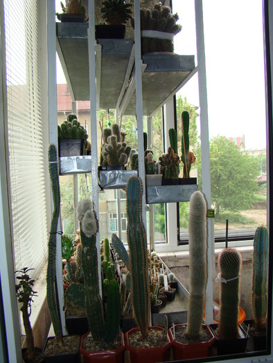 DSC05616