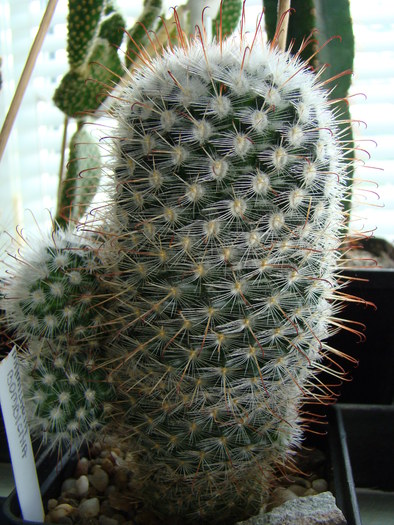 DSC05626