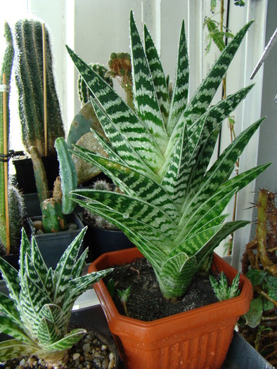 DSC05670