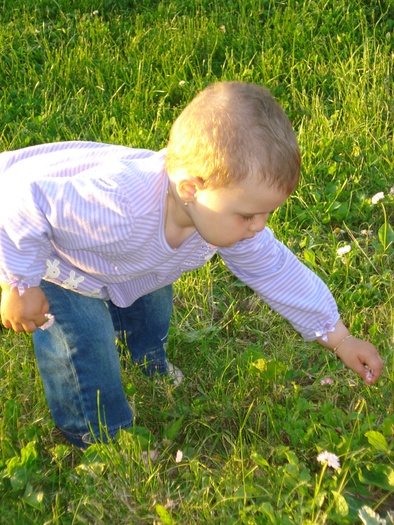 DSC08618- Culeg floricele