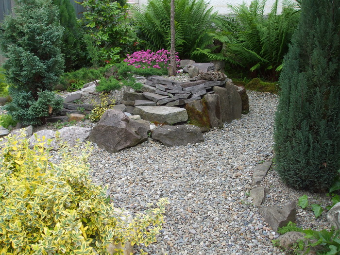 DSCF3707 - ROCKGARDEN