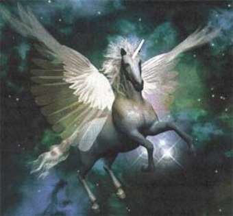 unicorn (2) - unicorn