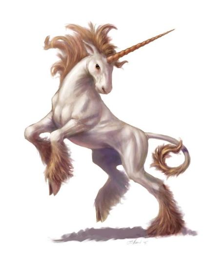 unicorn (4) - unicorn