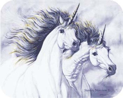 unicorn (5) - unicorn