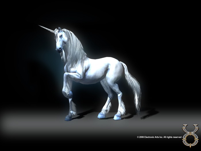 Unicorn_1600 - unicorn