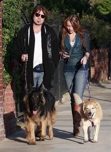 Miley Cyrus Dad Walking Their Dogs BzcMGABCzZOl