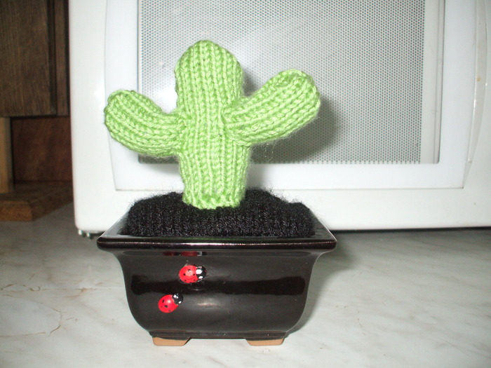 Cactus miniatural tricotat - Lucru de mana