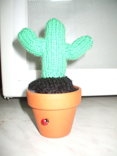 Cactus miniatural tricotat - Lucru de mana