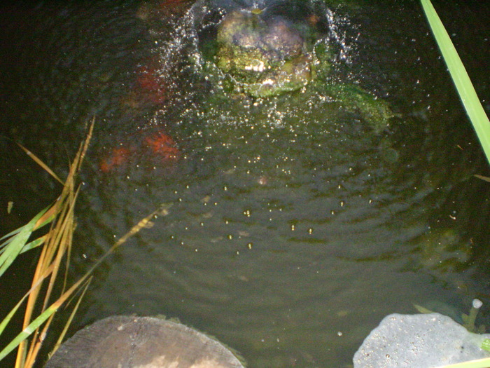 P8160235 - lacul si cascada