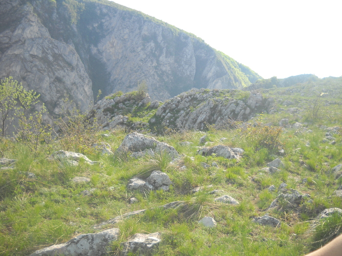DSCN1854