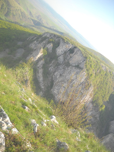 DSCN1855