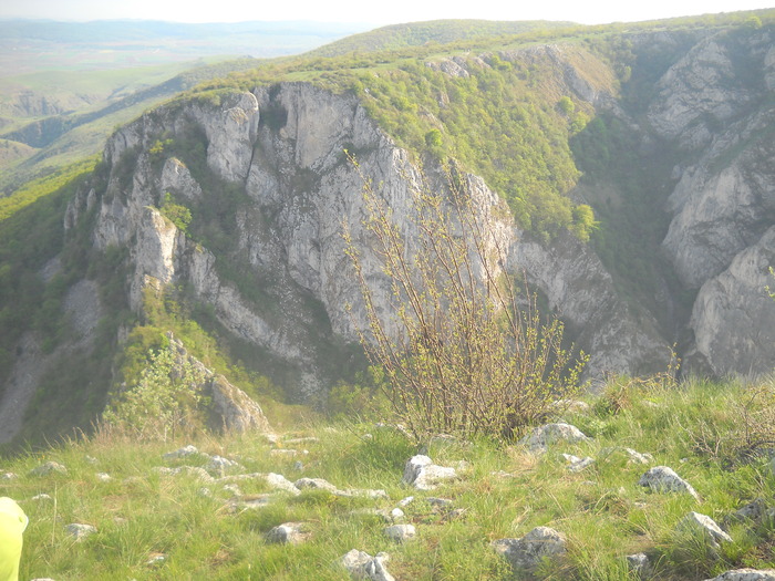 DSCN1856
