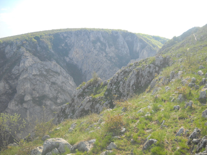 DSCN1861