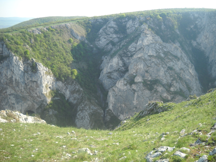 DSCN1867