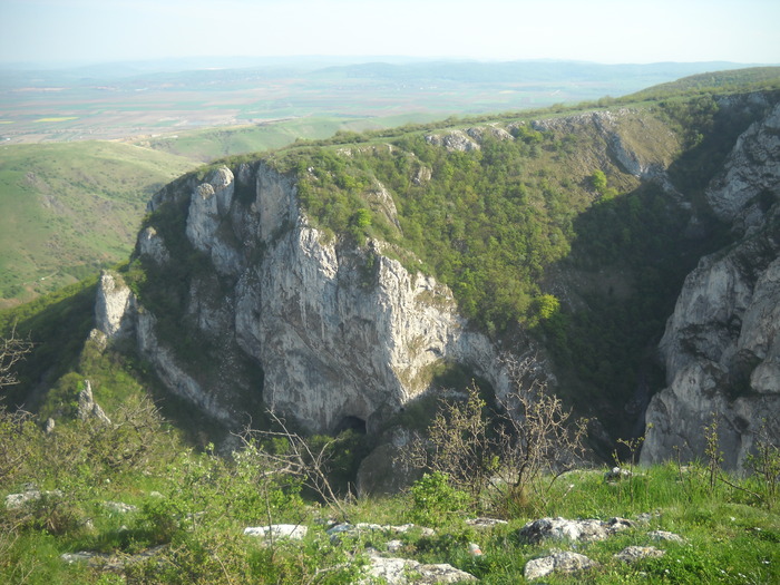 DSCN1877