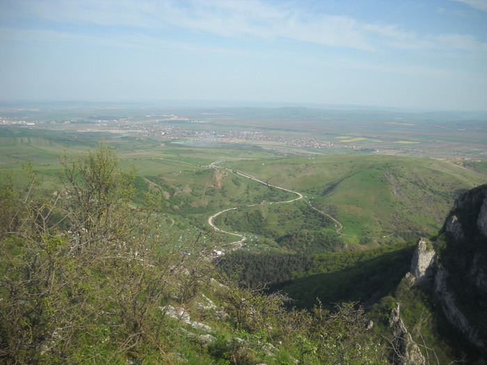 DSCN1879