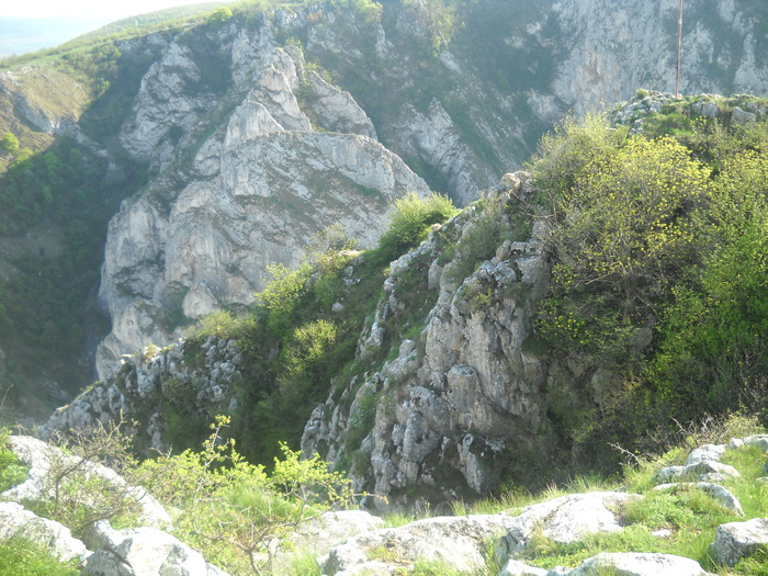 DSCN1880
