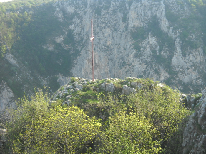 DSCN1881