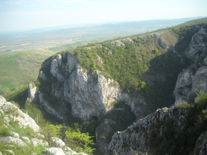 DSCN1884