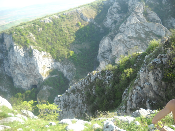 DSCN1886