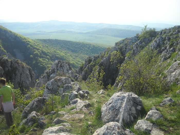 DSCN1888