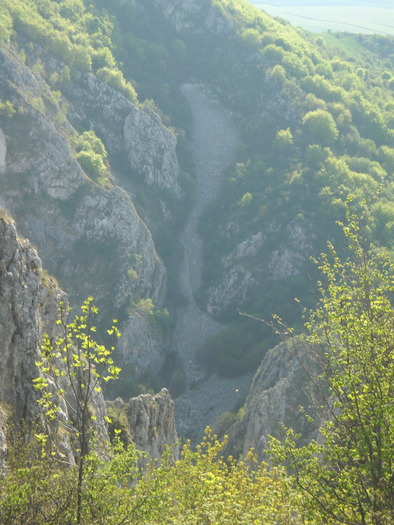 DSCN1890