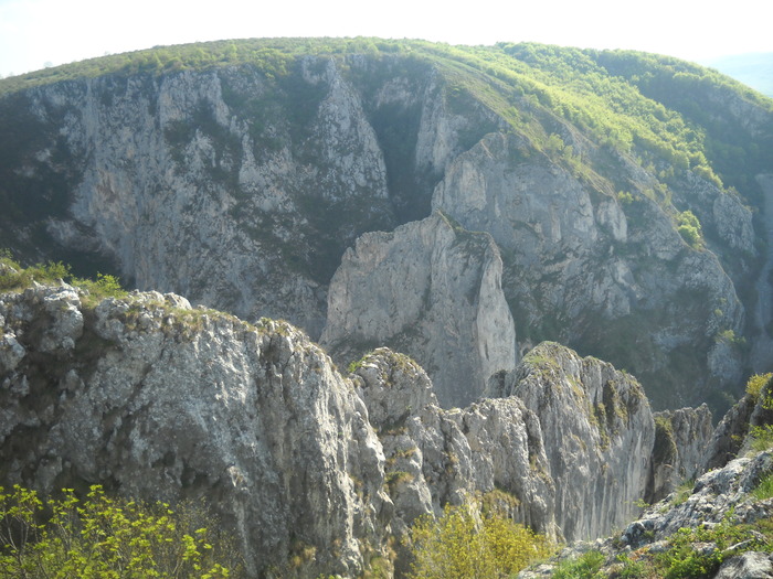 DSCN1891