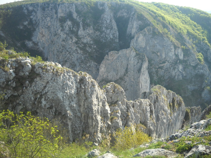 DSCN1893