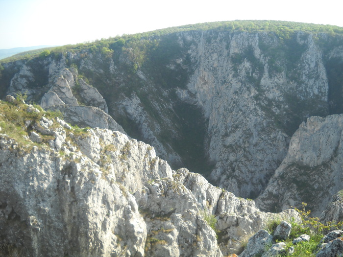 DSCN1899