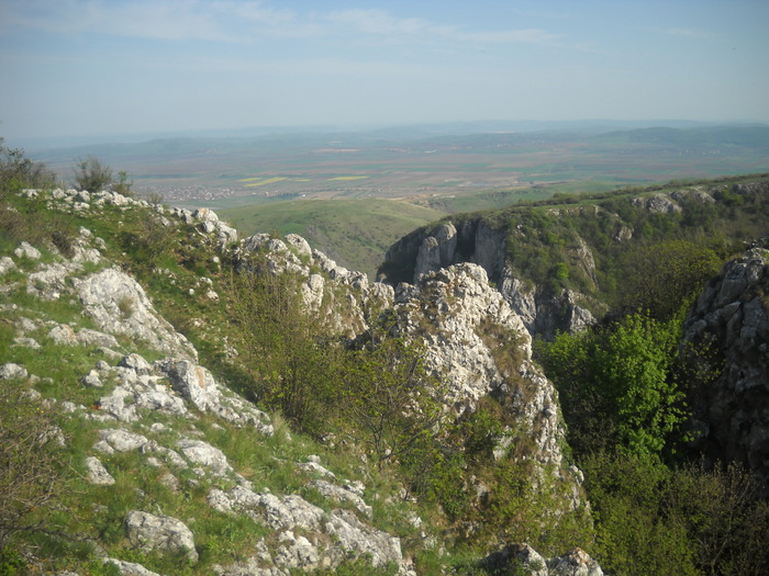 DSCN1901