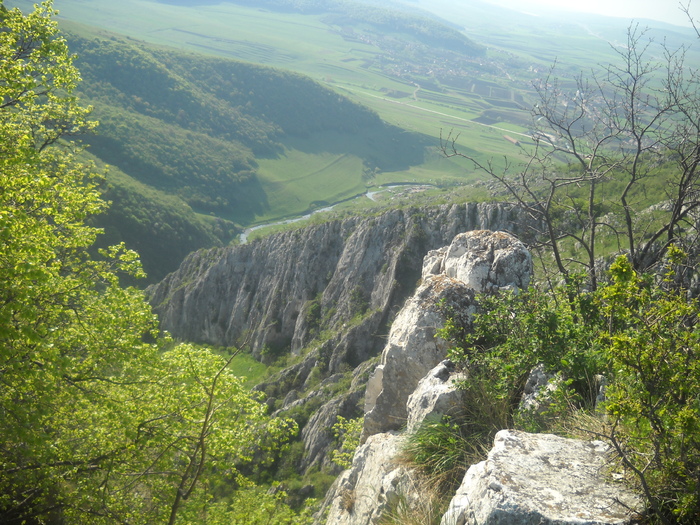 DSCN1904