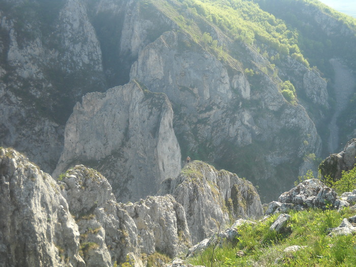 DSCN1907
