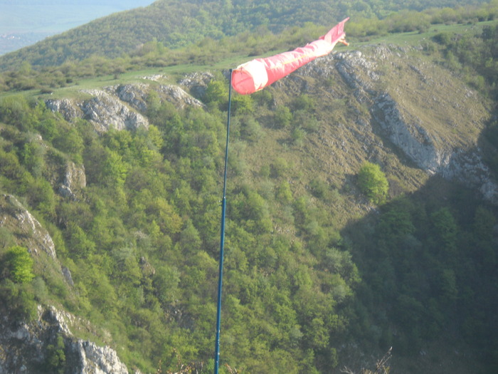 DSCN1921
