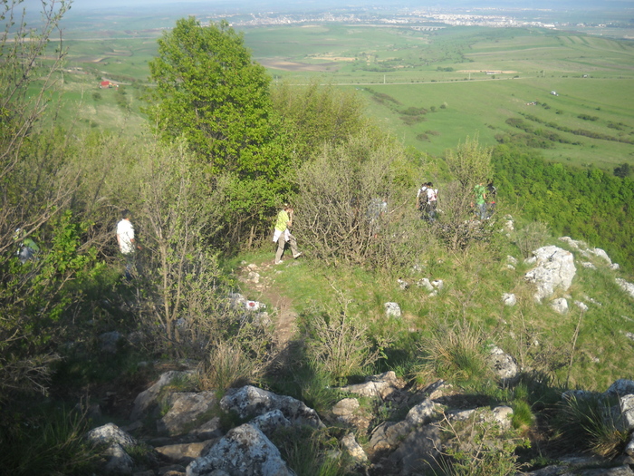DSCN1929