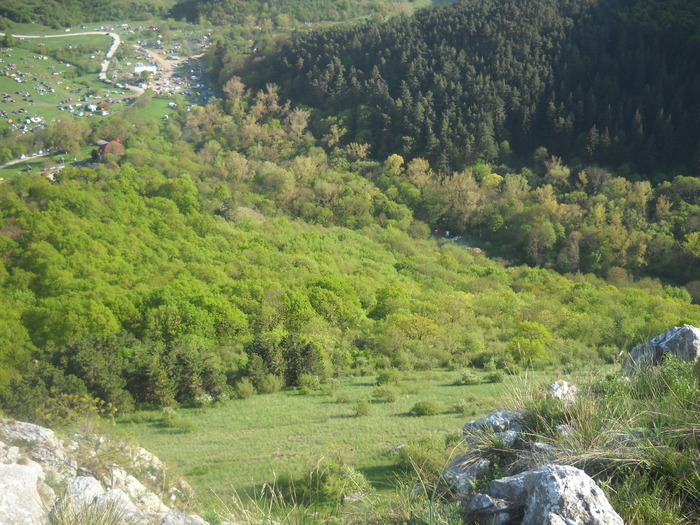DSCN1933