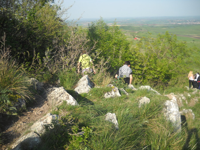 DSCN1935
