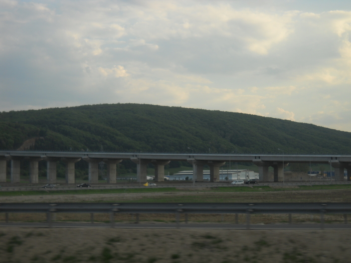 DSCN1985