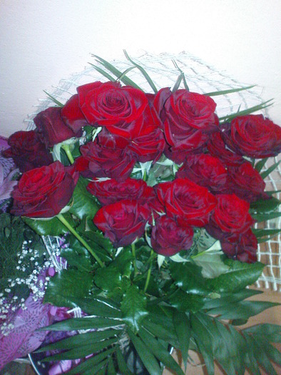 am implinit 19 ani(Rontzi); A primit de la prieten 19 trandafiri o amintire frumoasa pentru 19 primaveri
