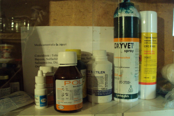 DSC03207 - Medicamentele iepurasilor