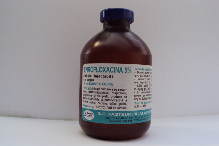 Enrofloxacina - Medicamentele iepurasilor