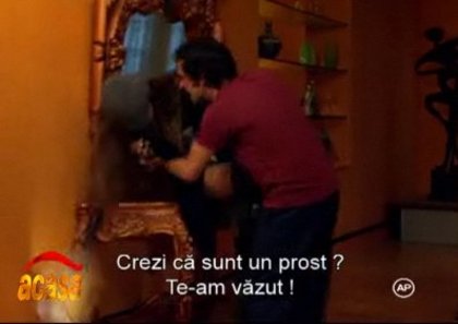 2nss9p5 - Camaleones