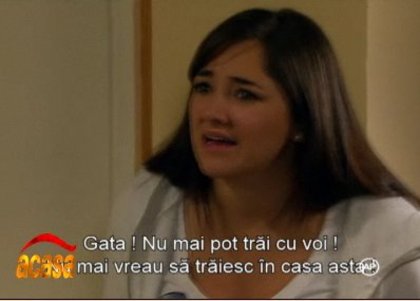 15p2x04 - Camaleones
