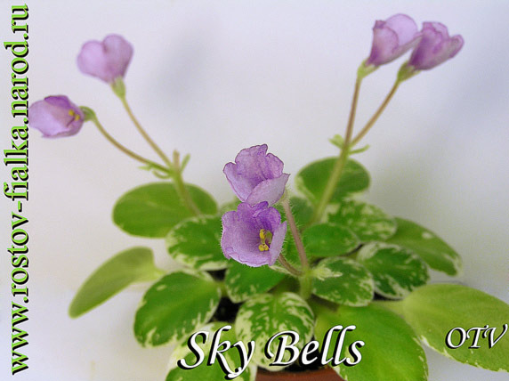 Sky Bells